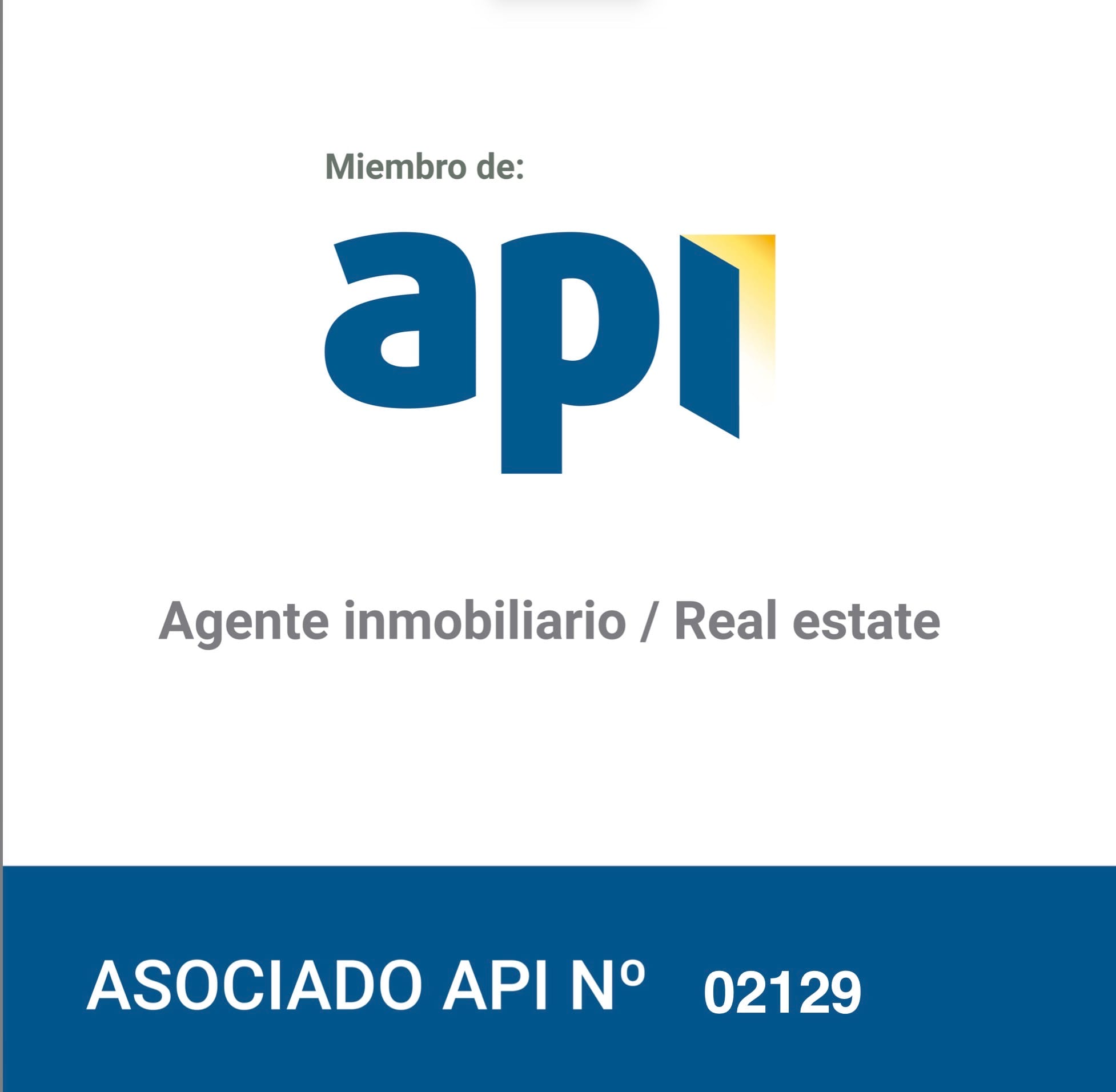 Logo API Alejandro Abreus